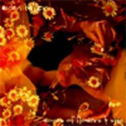 Songs of Flowers & Skin